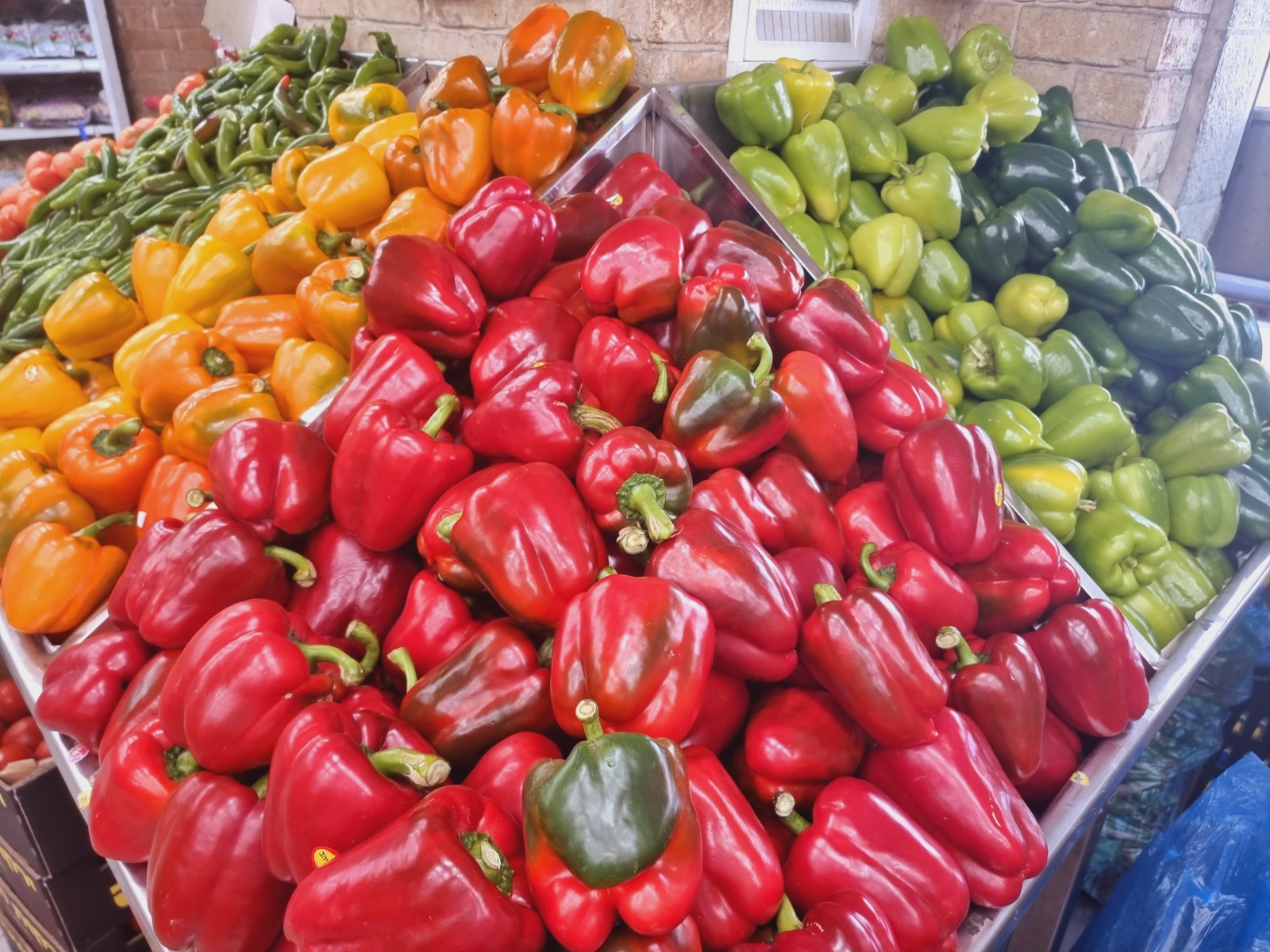 WhatsApp Image 2022-03-29 at 1.25.12 PM.jpg